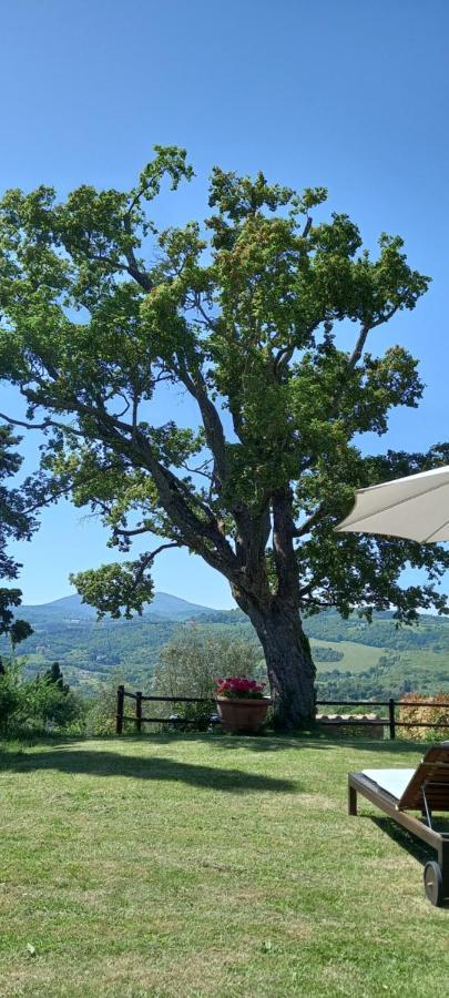 Poggio Al Sole Hotel Fiesole Luaran gambar